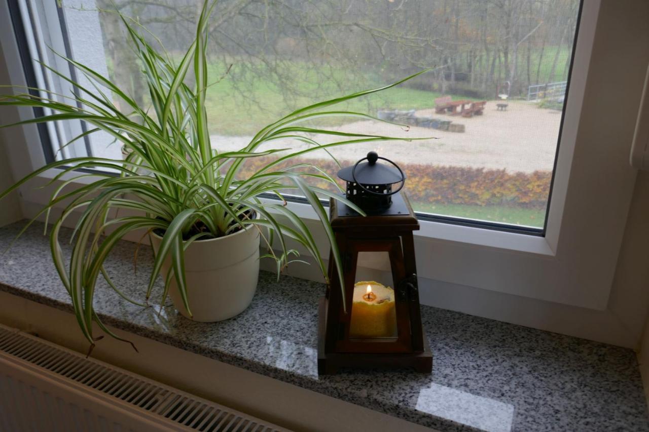 Landferien Eifel Apartment Pittenbach Екстериор снимка