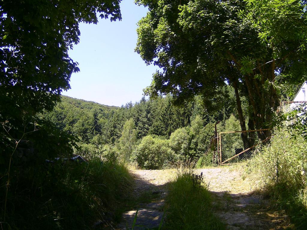 Landferien Eifel Apartment Pittenbach Екстериор снимка